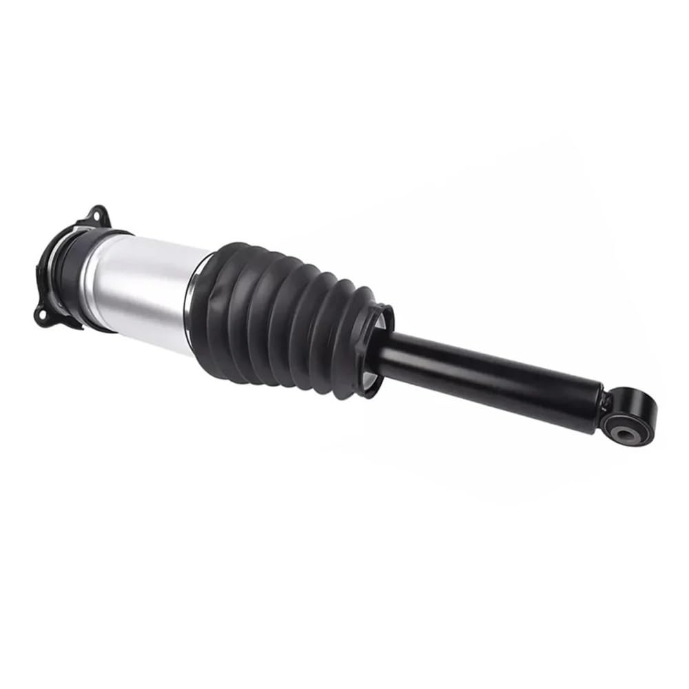 Ľavý zadný tlmič  RWD - 106746626B